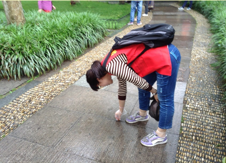 1524106356763245tosU.png 1.png